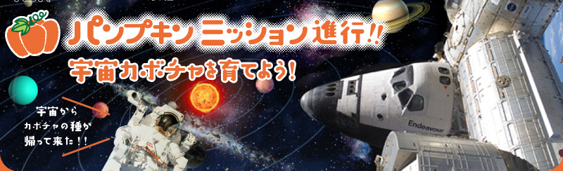 宇宙を旅したかぼちゃの種