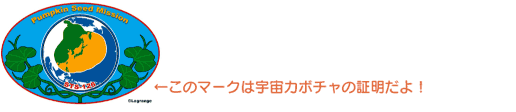 宇宙かぼちゃの種証明