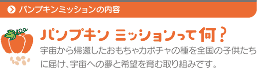 宇宙から帰還したおもちゃかぼちゃの種