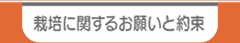 かぼちゃの種栽培に関するお願いと約束