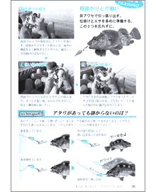 Cނ