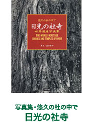̎Ўphoto