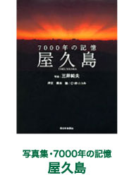 vphoto