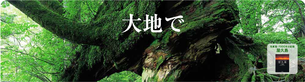 mainVisual